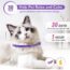 
										3 Pack Calming Collar for Cats and Kittens Pheromone Collar Efficient Relieve Reduce Anxiety Stress Pheromones Calm Relaxing Comfortable Breakaway Collars Adjustable for Small, Medium Large Cat - Purple - preview 4
